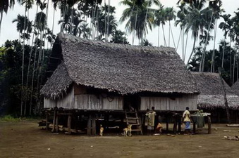 Бонгу. Традиционное жилище.