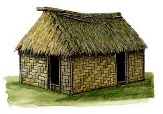 Фиджийцы. Традиционное жилище. Остров Вити-Леву.